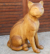 kočka