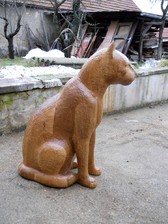 kočka