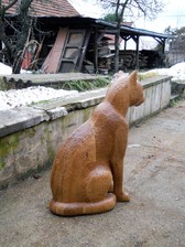 kočka