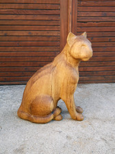 kočka