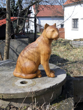 kočka