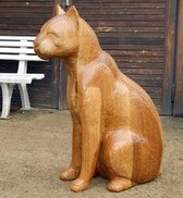 kočka