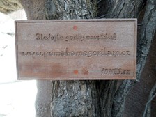 pomáháme gorilám