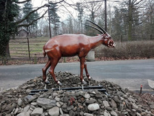 saola