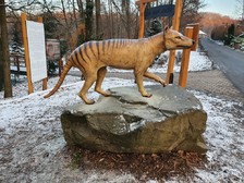 vakovlk